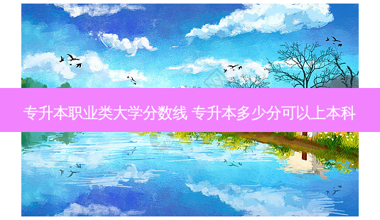 专升本职业类大学分数线 专升本多少分可以上本科-第1张图片-天智网 专升本职业类大学分数线 专升本多少分可以上本科-第1张图片-天智网