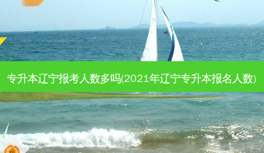 专升本辽宁报考人数多吗(2021年辽宁专升本报名人数)-第1张图片-天智网 专升本辽宁报考人数多吗(2021年辽宁专升本报名人数)-第1张图片-天智网