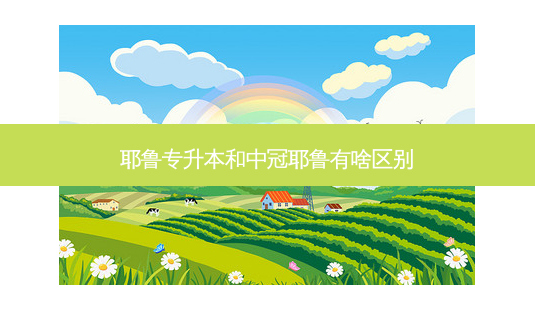 耶鲁专升本和中冠耶鲁有啥区别-第1张图片-天智网 耶鲁专升本和中冠耶鲁有啥区别-第1张图片-天智网