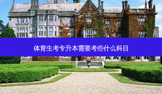 体育生考专升本需要考些什么科目-第1张图片-天智网 体育生考专升本需要考些什么科目-第1张图片-天智网