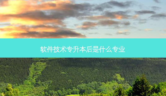 软件技术专升本后是什么专业-第1张图片-天智网 软件技术专升本后是什么专业-第1张图片-天智网