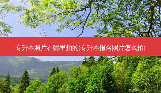 专升本照片在哪里拍的(专升本报名照片怎么拍)-第1张图片-天智网 专升本照片在哪里拍的(专升本报名照片怎么拍)-第1张图片-天智网