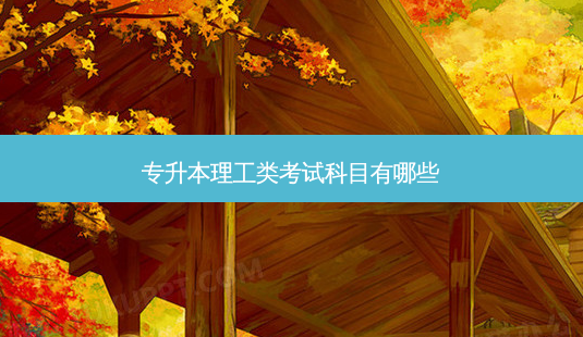 专升本理工类考试科目有哪些-第1张图片-天智网 专升本理工类考试科目有哪些-第1张图片-天智网