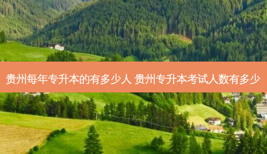 贵州每年专升本的有多少人 贵州专升本考试人数有多少-第1张图片-天智网 贵州每年专升本的有多少人 贵州专升本考试人数有多少-第1张图片-天智网