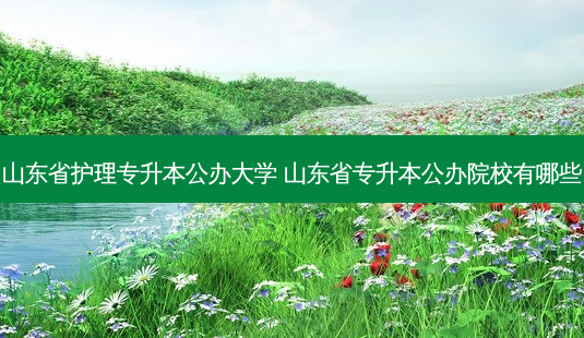 山东省护理专升本公办大学 山东省专升本公办院校有哪些-第1张图片-天智网 山东省护理专升本公办大学 山东省专升本公办院校有哪些-第1张图片-天智网