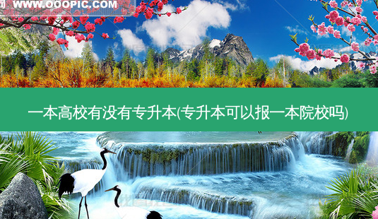 一本高校有没有专升本(专升本可以报一本院校吗)-第1张图片-天智网 一本高校有没有专升本(专升本可以报一本院校吗)-第1张图片-天智网
