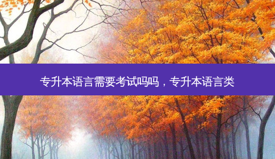 专升本语言需要考试吗吗,专升本语言类-第1张图片-天智网 专升本语言需要考试吗吗,专升本语言类-第1张图片-天智网
