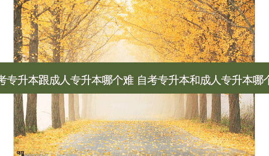 自考专升本跟成人专升本哪个难 自考专升本和成人专升本哪个好-第1张图片-天智网 自考专升本跟成人专升本哪个难 自考专升本和成人专升本哪个好-第1张图片-天智网
