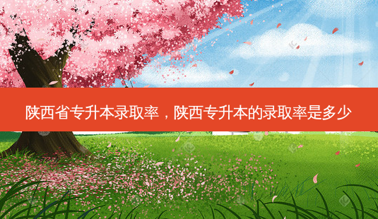 陕西省专升本录取率,陕西专升本的录取率是多少-第1张图片-天智网 陕西省专升本录取率,陕西专升本的录取率是多少-第1张图片-天智网