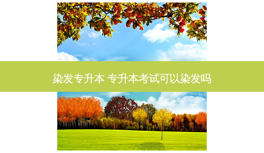 染发专升本 专升本考试可以染发吗-第1张图片-天智网 染发专升本 专升本考试可以染发吗-第1张图片-天智网