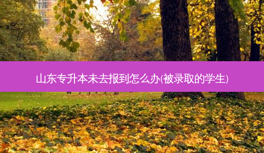 山东专升本未去报到怎么办(被录取的学生)-第1张图片-天智网 山东专升本未去报到怎么办(被录取的学生)-第1张图片-天智网