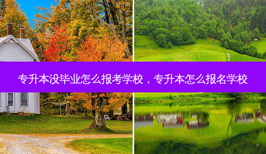 专升本没毕业怎么报考学校,专升本怎么报名学校-第1张图片-天智网 专升本没毕业怎么报考学校,专升本怎么报名学校-第1张图片-天智网
