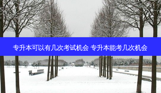 专升本可以有几次考试机会 专升本能考几次机会-第1张图片-天智网 专升本可以有几次考试机会 专升本能考几次机会-第1张图片-天智网