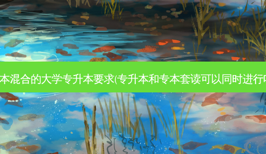 专本混合的大学专升本要求(专升本和专本套读可以同时进行吗)-第1张图片-天智网 专本混合的大学专升本要求(专升本和专本套读可以同时进行吗)-第1张图片-天智网