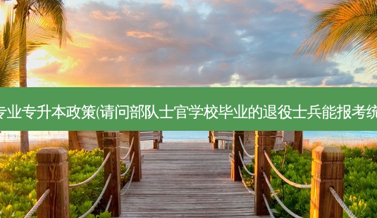 退役军人跨专业专升本政策(请问部队士官学校毕业的退役士兵能报考统招专升本吗)-第1张图片-天智网 退役军人跨专业专升本政策(请问部队士官学校毕业的退役士兵能报考统招专升本吗)-第1张图片-天智网