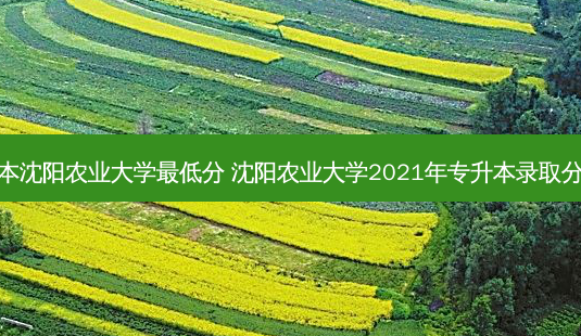 专升本沈阳农业大学 *** 低分 沈阳农业大学2021年专升本录取分数线-第1张图片-汇成专升本网