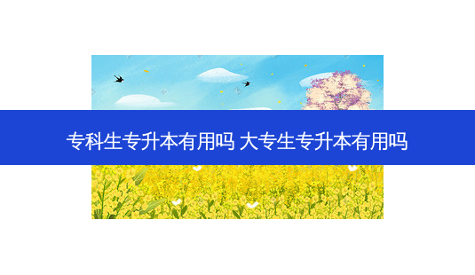 专科生专升本有用吗 大专生专升本有用吗-第1张图片-天智网 专科生专升本有用吗 大专生专升本有用吗-第1张图片-天智网
