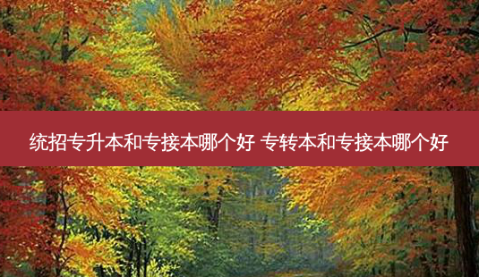 统招专升本和专接本哪个好 专转本和专接本哪个好-第1张图片-天智网 统招专升本和专接本哪个好 专转本和专接本哪个好-第1张图片-天智网