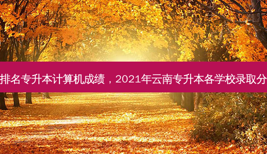 云南排名专升本计算机成绩,2021年云南专升本各学校录取分数线-第1张图片-天智网 云南排名专升本计算机成绩,2021年云南专升本各学校录取分数线-第1张图片-天智网