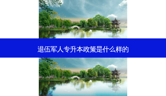 退伍军人专升本政策是什么样的-第1张图片-天智网 退伍军人专升本政策是什么样的-第1张图片-天智网