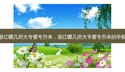 浙江哪几所大专要专升本,浙江哪几所大专要专升本的学校-第1张图片-天智网 浙江哪几所大专要专升本,浙江哪几所大专要专升本的学校-第1张图片-天智网