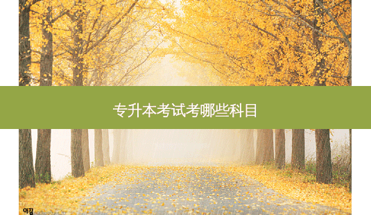 专升本考试考哪些科目-第1张图片-天智网 专升本考试考哪些科目-第1张图片-天智网