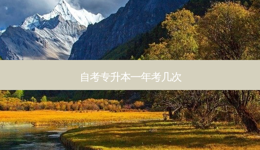 自考专升本一年考几次-第1张图片-天智网 自考专升本一年考几次-第1张图片-天智网