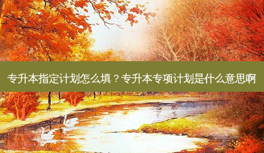专升本指定计划怎么填?专升本专项计划是什么意思啊-第1张图片-天智网 专升本指定计划怎么填?专升本专项计划是什么意思啊-第1张图片-天智网