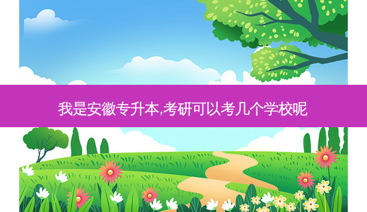 我是安徽专升本,考研可以考几个学校呢-第1张图片-天智网 我是安徽专升本,考研可以考几个学校呢-第1张图片-天智网