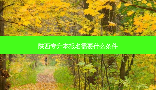 陕西专升本报名需要什么条件-第1张图片-天智网 陕西专升本报名需要什么条件-第1张图片-天智网