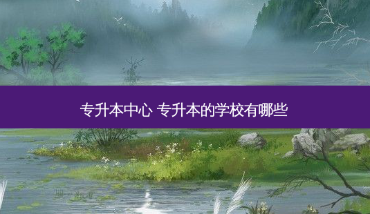 专升本中心 专升本的学校有哪些-第1张图片-天智网 专升本中心 专升本的学校有哪些-第1张图片-天智网