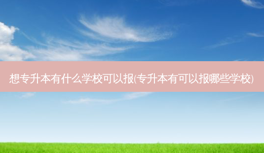 想专升本有什么学校可以报(专升本有可以报哪些学校)-第1张图片-汇成专升本网