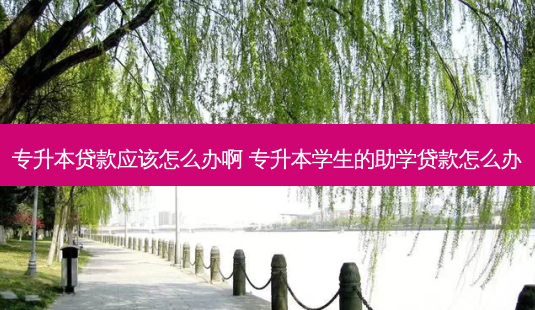专升本 *** 应该怎么办啊 专升本学生的助学 *** 怎么办-第1张图片-天智网 专升本 *** 应该怎么办啊 专升本学生的助学 *** 怎么办-第1张图片-天智网