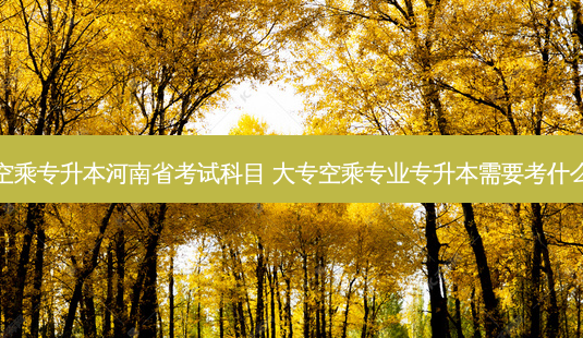 空乘专升本河南省考试科目 大专空乘专业专升本需要考什么-第1张图片-汇成专升本网