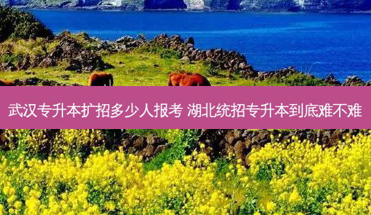 武汉专升本扩招多少人报考 湖北统招专升本到底难不难-第1张图片-天智网 武汉专升本扩招多少人报考 湖北统招专升本到底难不难-第1张图片-天智网