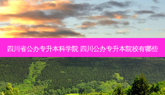 四川省公办专升本科学院 四川公办专升本院校有哪些-第1张图片-汇成专升本网