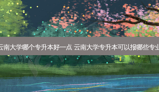 云南大学哪个专升本好一点 云南大学专升本可以报哪些专业-第1张图片-天智网 云南大学哪个专升本好一点 云南大学专升本可以报哪些专业-第1张图片-天智网