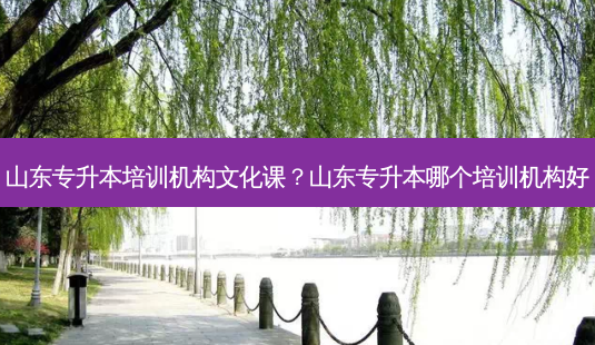 山东专升本培训机构文化课?山东专升本哪个培训机构好-第1张图片-天智网 山东专升本培训机构文化课?山东专升本哪个培训机构好-第1张图片-天智网