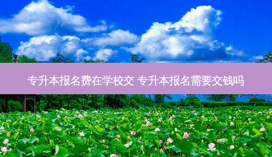 专升本报名费在学校交 专升本报名需要交钱吗-第1张图片-天智网 专升本报名费在学校交 专升本报名需要交钱吗-第1张图片-天智网