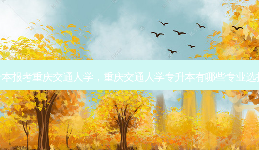 专升本报考重庆交通大学,重庆交通大学专升本有哪些专业选择呢-第1张图片-天智网 专升本报考重庆交通大学,重庆交通大学专升本有哪些专业选择呢-第1张图片-天智网