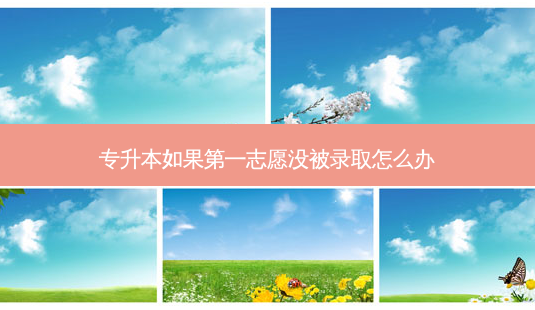 专升本如果之一志愿没被录取怎么办-第1张图片-天智网 专升本如果之一志愿没被录取怎么办-第1张图片-天智网