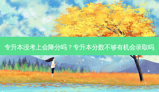 专升本没考上会降分吗?专升本分数不够有机会录取吗-第1张图片-天智网 专升本没考上会降分吗?专升本分数不够有机会录取吗-第1张图片-天智网