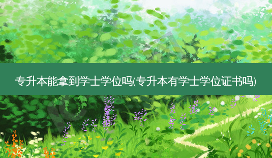 专升本能拿到学士学位吗(专升本有学士学位证书吗)-第1张图片-天智网 专升本能拿到学士学位吗(专升本有学士学位证书吗)-第1张图片-天智网