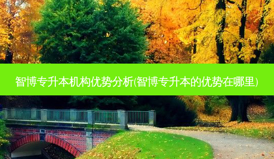 智博专升本机构优势分析(智博专升本的优势在哪里)-第1张图片-天智网 智博专升本机构优势分析(智博专升本的优势在哪里)-第1张图片-天智网