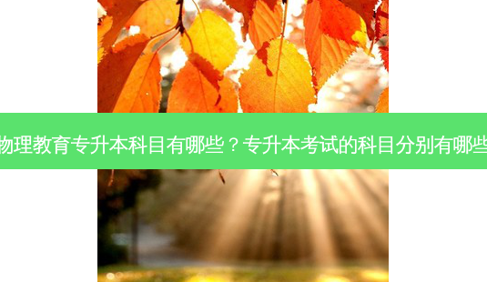 物理教育专升本科目有哪些?专升本考试的科目分别有哪些-第1张图片-天智网 物理教育专升本科目有哪些?专升本考试的科目分别有哪些-第1张图片-天智网