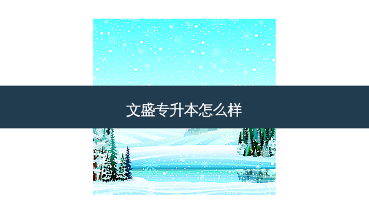 文盛专升本怎么样-第1张图片-天智网 文盛专升本怎么样-第1张图片-天智网