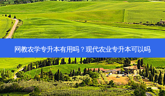 网教农学专升本有用吗?现代农业专升本可以吗-第1张图片-天智网 网教农学专升本有用吗?现代农业专升本可以吗-第1张图片-天智网