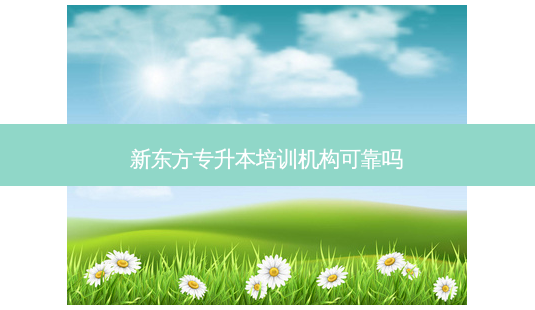 新东方专升本培训机构可靠吗-第1张图片-天智网 新东方专升本培训机构可靠吗-第1张图片-天智网