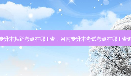 专升本舞蹈考点在哪里查,河南专升本考试考点在哪里查询-第1张图片-天智网 专升本舞蹈考点在哪里查,河南专升本考试考点在哪里查询-第1张图片-天智网