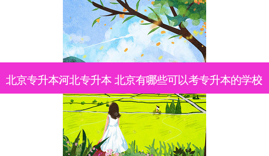 北京专升本河北专升本 北京有哪些可以考专升本的学校-第1张图片-天智网 北京专升本河北专升本 北京有哪些可以考专升本的学校-第1张图片-天智网